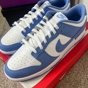 Polar blue dunks